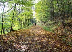 Weekend di escursioni nella natura