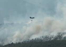 Incendi in Grecia: partiti due canadair per Rodi Incendi in Grecia: partiti due canadair per Rodi