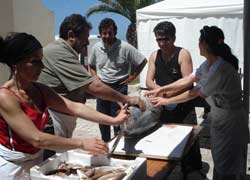 A Sperlonga ritorna ‘Sapori di Mare’ la kermesse enogastronomica A Sperlonga ritorna ‘Sapori di Mare’ la kermesse enogastronomica
