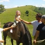 20080702_boschi_crinale