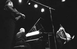 Inaugurato oggi il Festival Musicale Savinese