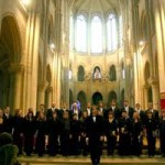 20080805_vox_cordis
