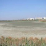 20080806_lago_castiglioni