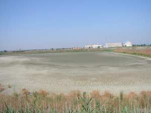 La Sadam prosciuga un laghetto dell’area ex zuccherificio