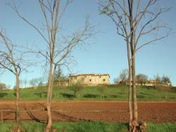 Agriturismi in crisi, non nel territorio aretino