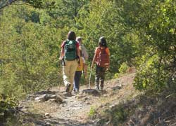 Il sentiero delle Foreste Sacre