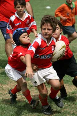 Arieti Rugby Arezzo: al via il settore giovanile