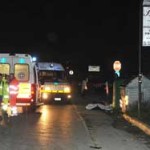 20081108_morto_olmo