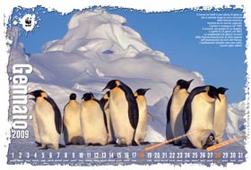 Consegnato il calendario ‘Anno del clima’ a Claudio Martini