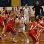 20081207_freebasket
