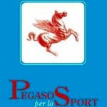 20090114_pegaso_sport