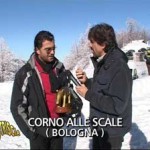 20090119_striscia_tapiro_tomba