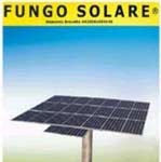 20090121_fungo_solare