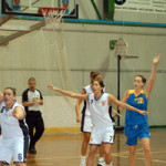20090217_freebasket