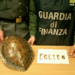 20090219_gdf_firenze