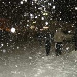 20090221_neve