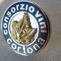 Decimo aniversario del vino DOC per il Consorzio Vini Cortona