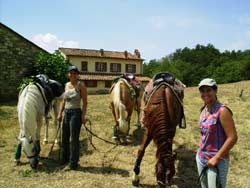 Foreste straordinarie in un week end cavallo tra Romagna e Toscana