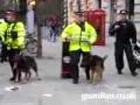 Gb, violenze e saccheggi a Manchester Gb, violenze e saccheggi a Manchester