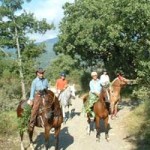 20090418_parco_casentino