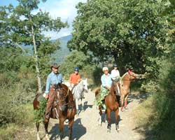 Turismo equestre: domanda e offerta in crescita Parco del Casentino