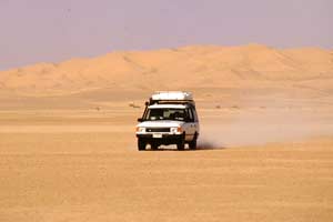 Dakar 2010, Despres conquista il suo terzo successo