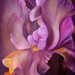 20090708_iris