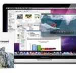 20090824_snowleopard