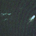 20090827_loch_ness