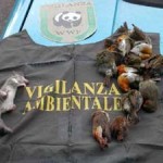 20091021_wwf_sequestro_fauna