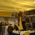 20091203_fiera_miele
