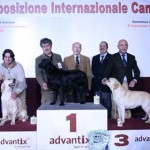 20100118_mostra_canina