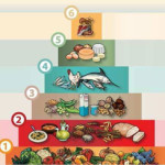 20100216_piramide_alimentare