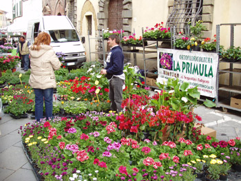 Torna la Fiera di Pasquetta a Lucignano: piante, fiori e artigianato