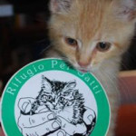20100319_rifugio_gatti_cinni