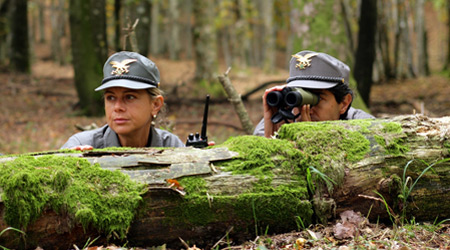 Bilancio del lavoro del Coordinamento Territoriale del Corpo Forestale