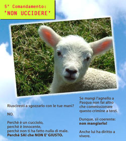 ‘Per Pasqua rispettate il 5° comandamento: non uccidete!’