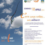 20100412_albero