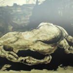 20100421_fanfani_nudo_sdraiato