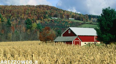 I censimenti: si comincia con quello dell’agricoltura