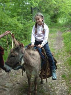‘In viaggio con l’Asino’: tutti insieme asini, bambini e professori