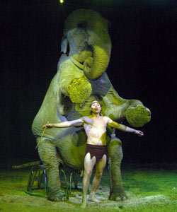 Dopo 20anni torna ad Arezzo il circo di Miranda Orfei