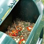 20100517_compostiere_giardino