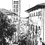 20100525_tagete