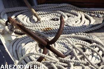 Stop caccia alle balene, l’Australia azione legale contro il Giuappone