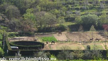 Vita da Cavalli: un’estate a contatto con la natura per i bambini