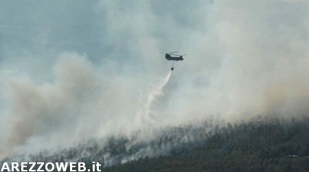 Vedetta Piromane: dichiarazione della Confraternita di Misericordia