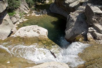Legionella, già 12 casi ad Arezzo. Le indicazioni della Asl