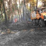 20100722_incendio_ripa_olmo