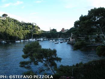 Paraggi: si intrufola in giardino della villa di Berlusconi, arrestato